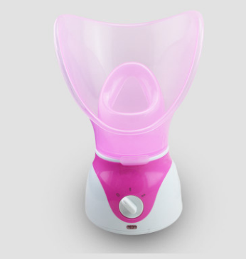 Home steam beauty instrument