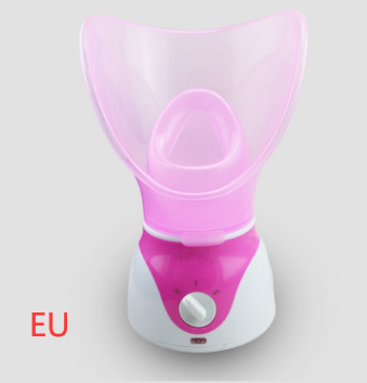 Home steam beauty instrument