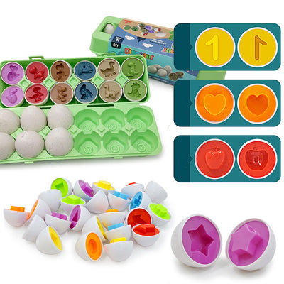 Matching Eggs Toy